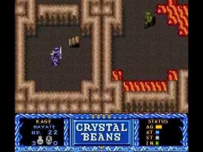 Crystal Beans From Dungeon Explorer - (Super Nintendo SNES)