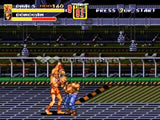 Street Fighter Edition - Streets of Rage 2 - (Sega Genesis)