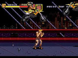 Street Fighter Edition - Streets of Rage 2 - (Sega Genesis)